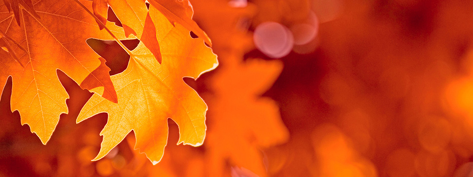 Society for Manitobans with Disabilities (SMD) Layoffs – August 28, 2013