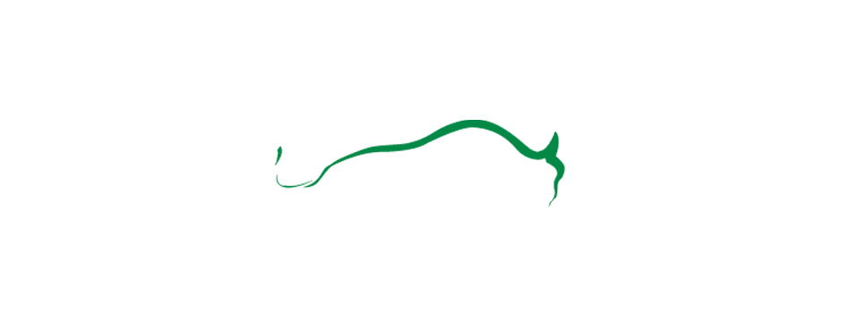 Central Table Bargaining highlights of final offer