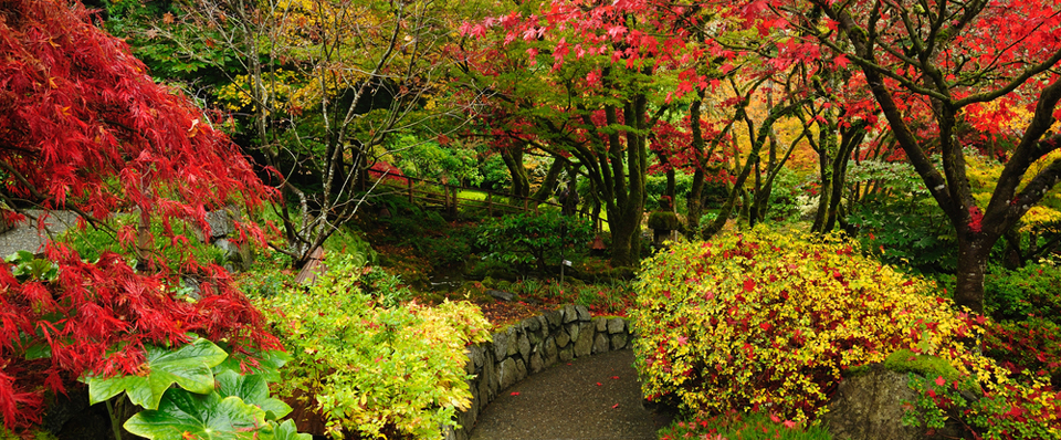 MRT Week – November 3-9, 2013